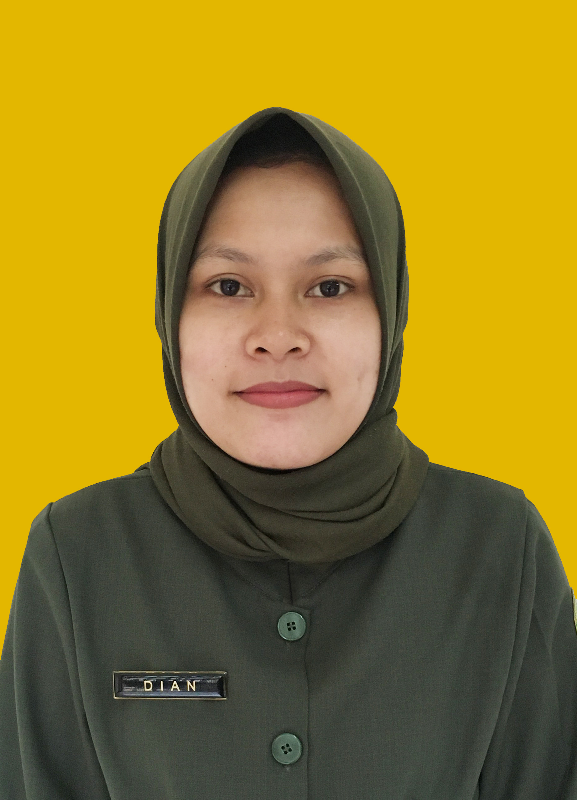 Dian Ijo